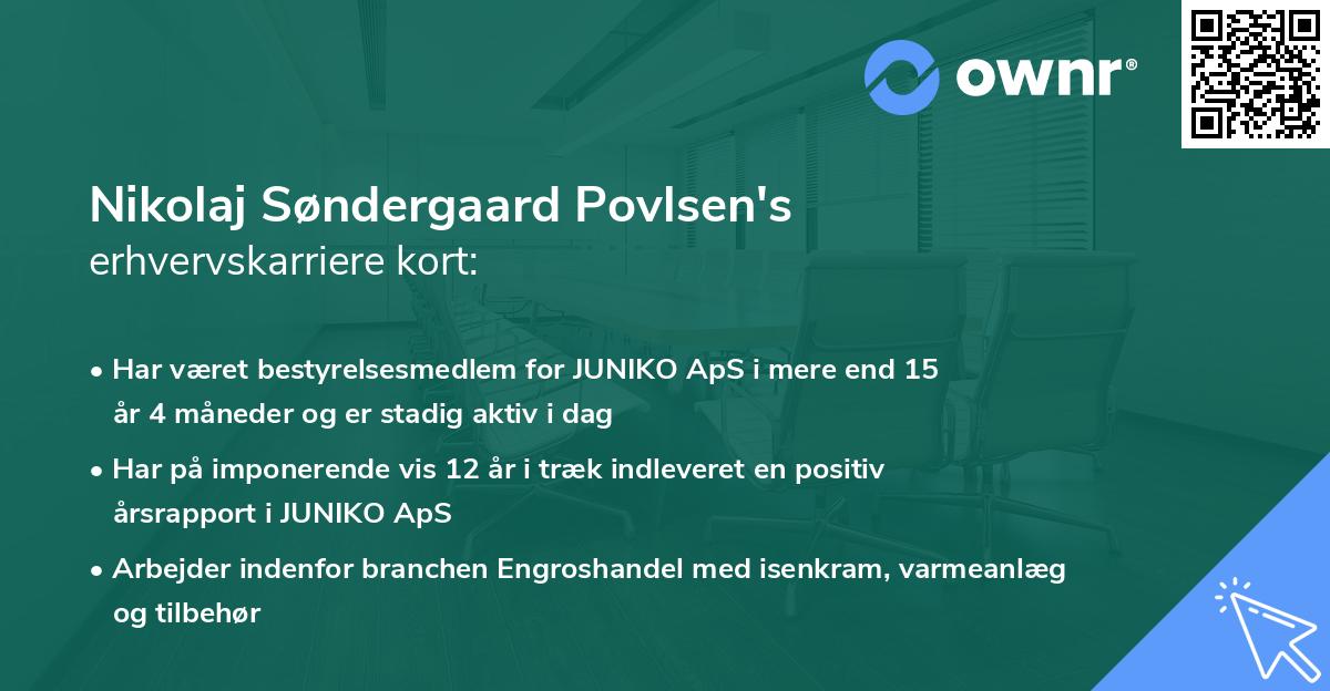 Nikolaj Søndergaard Povlsen's erhvervskarriere kort