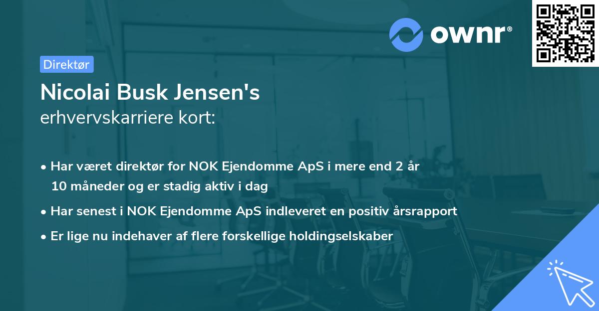 Nicolai Busk Jensen's erhvervskarriere kort