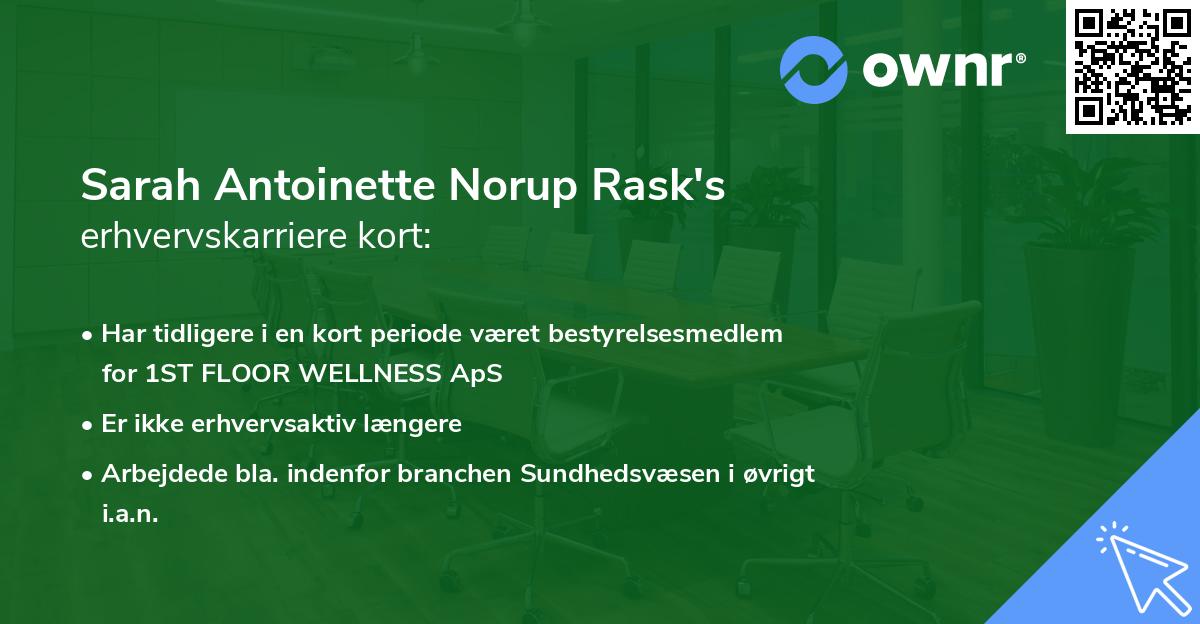 Sarah Antoinette Norup Rask's erhvervskarriere kort