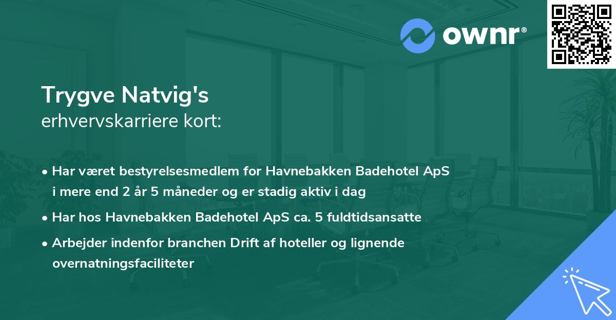 Trygve Natvig's erhvervskarriere kort