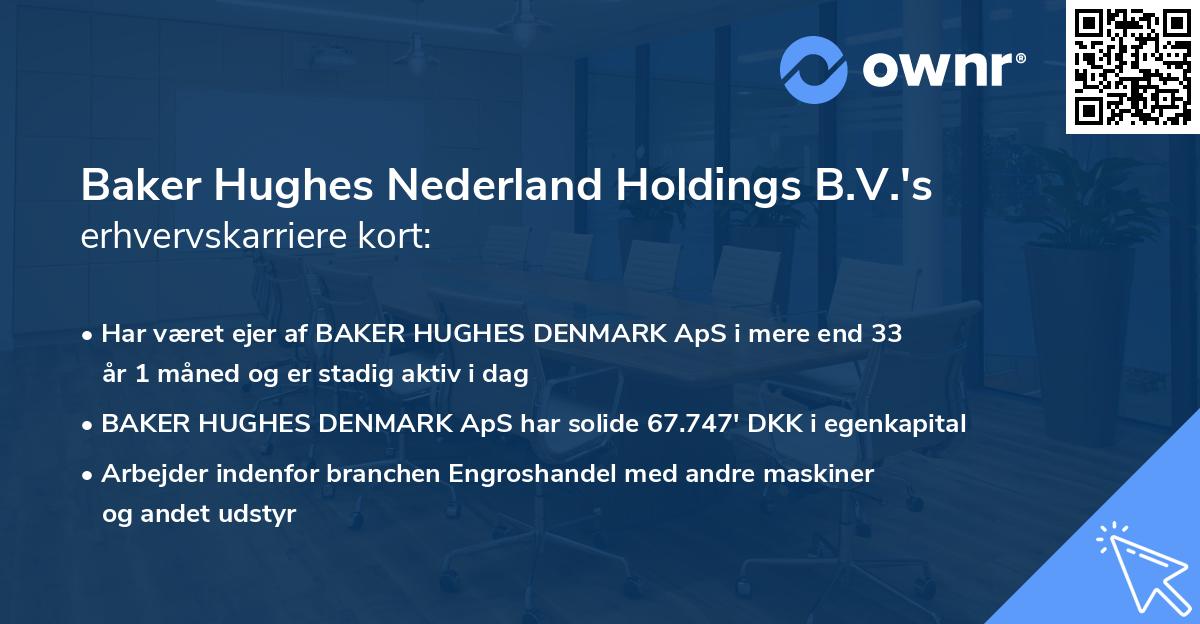 Baker Hughes Nederland Holdings B.V.'s erhvervskarriere kort
