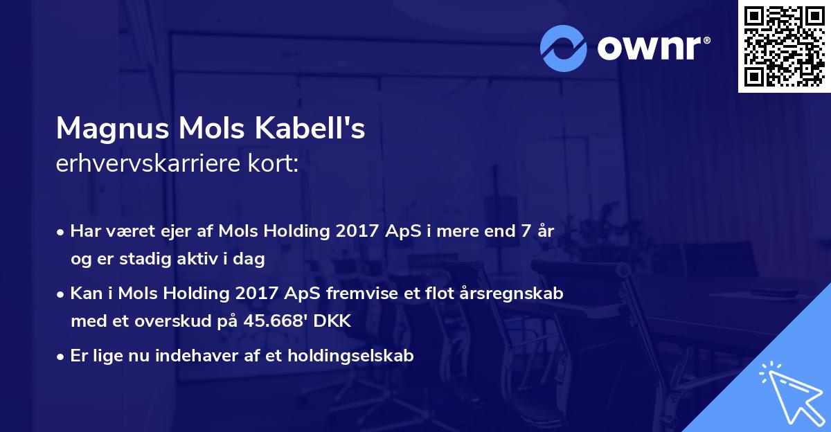 Magnus Mols Kabell's erhvervskarriere kort