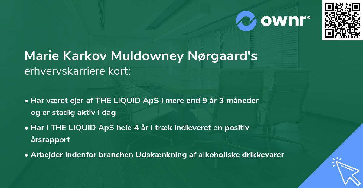 Marie Karkov Muldowney Nørgaard's erhvervskarriere kort