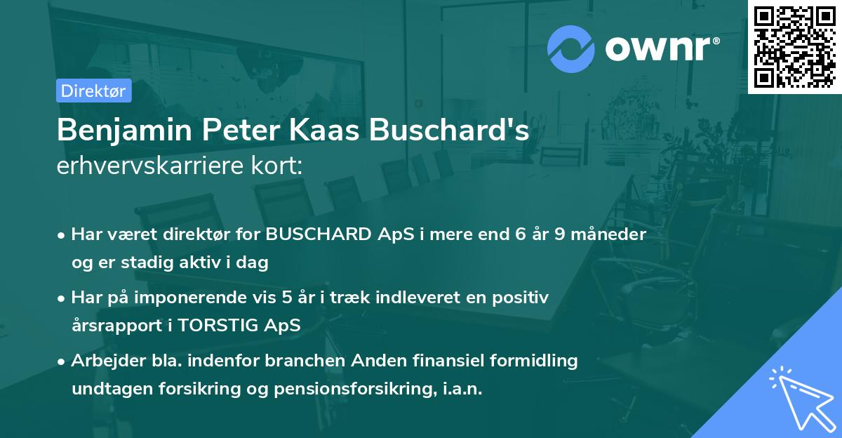 Benjamin Peter Kaas Buschard's erhvervskarriere kort