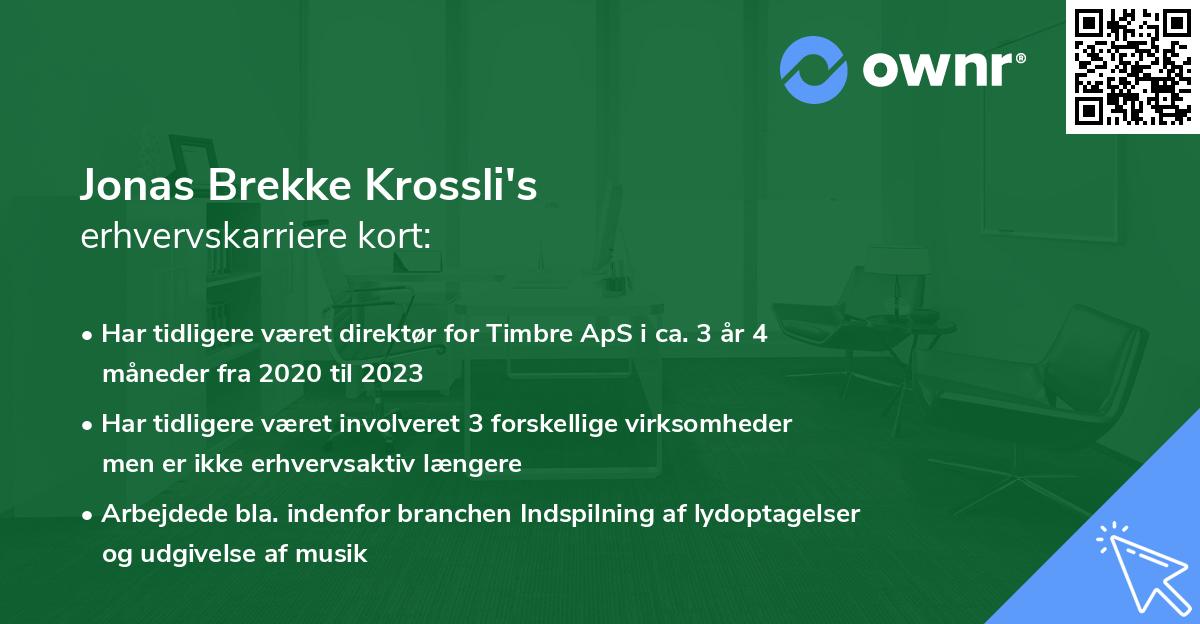 Jonas Brekke Krossli's erhvervskarriere kort