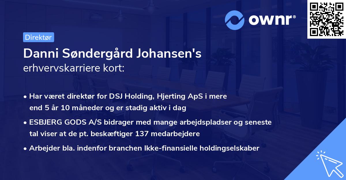 Danni Søndergård Johansen's erhvervskarriere kort