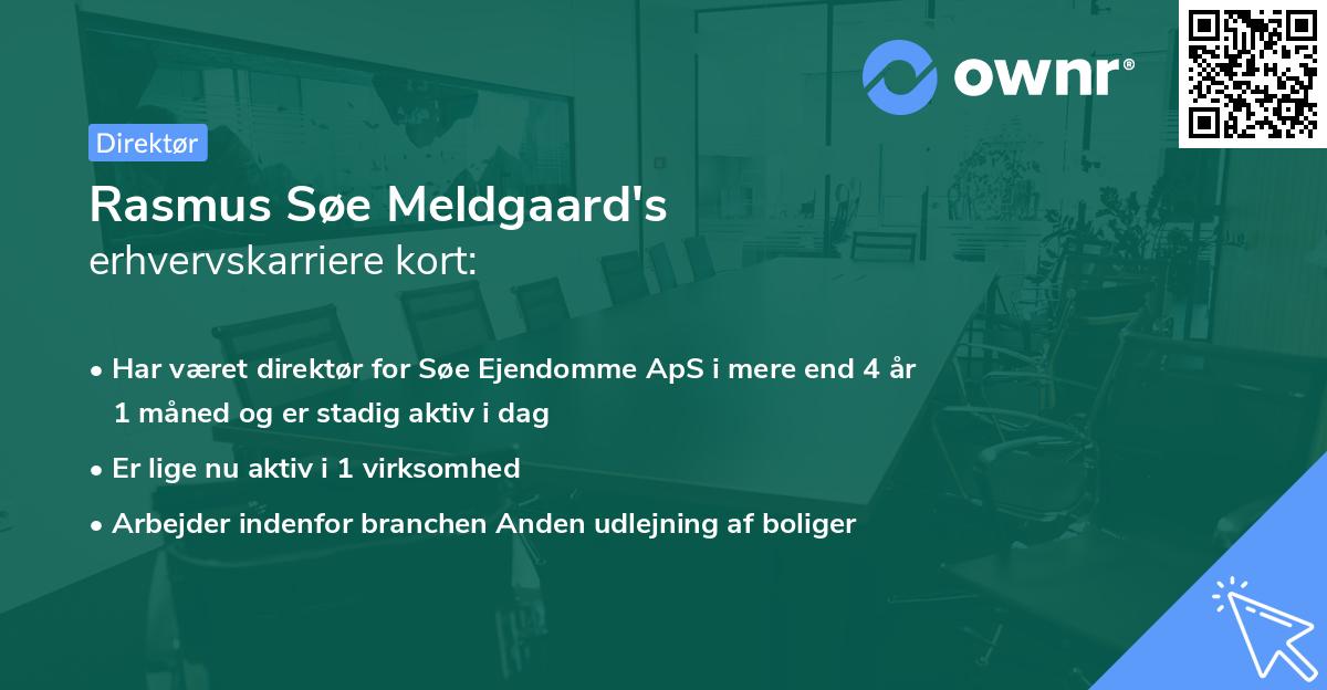 Rasmus Søe Meldgaard's erhvervskarriere kort