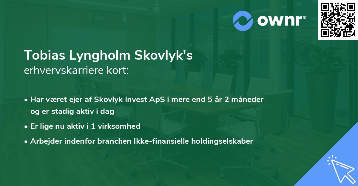 Tobias Lyngholm Skovlyk's erhvervskarriere kort