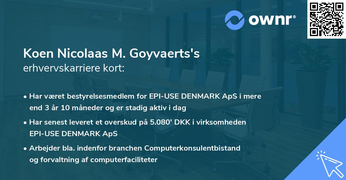 Koen Nicolaas M. Goyvaerts's erhvervskarriere kort
