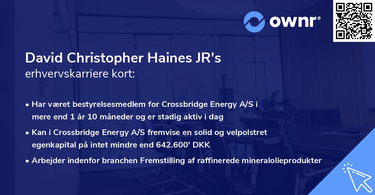 David Christopher Haines JR's erhvervskarriere kort