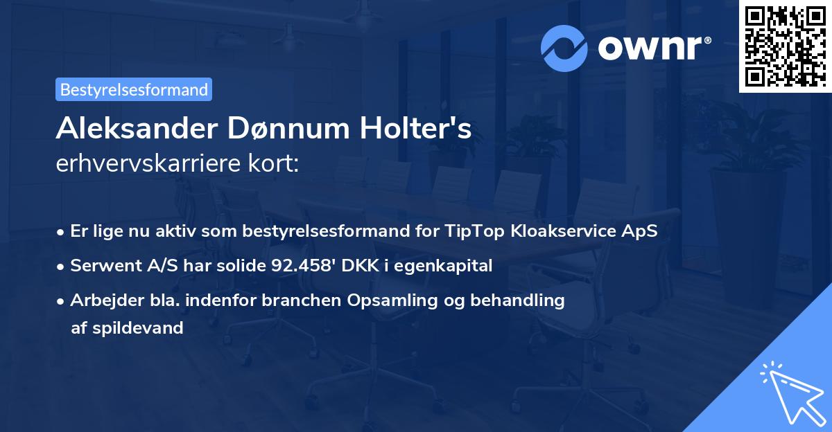 Aleksander Dønnum Holter's erhvervskarriere kort