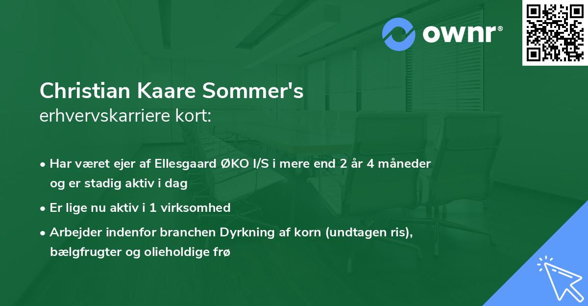 Christian Kaare Sommer's erhvervskarriere kort