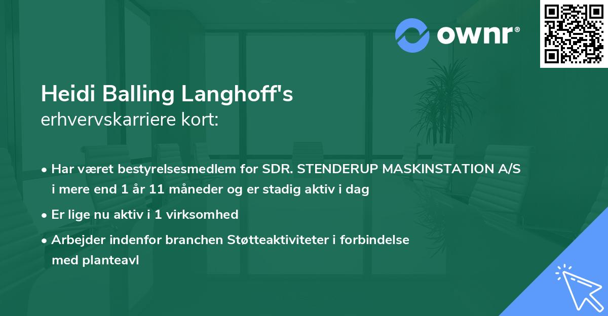 Heidi Balling Langhoff's erhvervskarriere kort