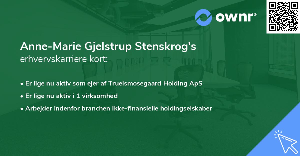 Anne-Marie Gjelstrup Stenskrog's erhvervskarriere kort