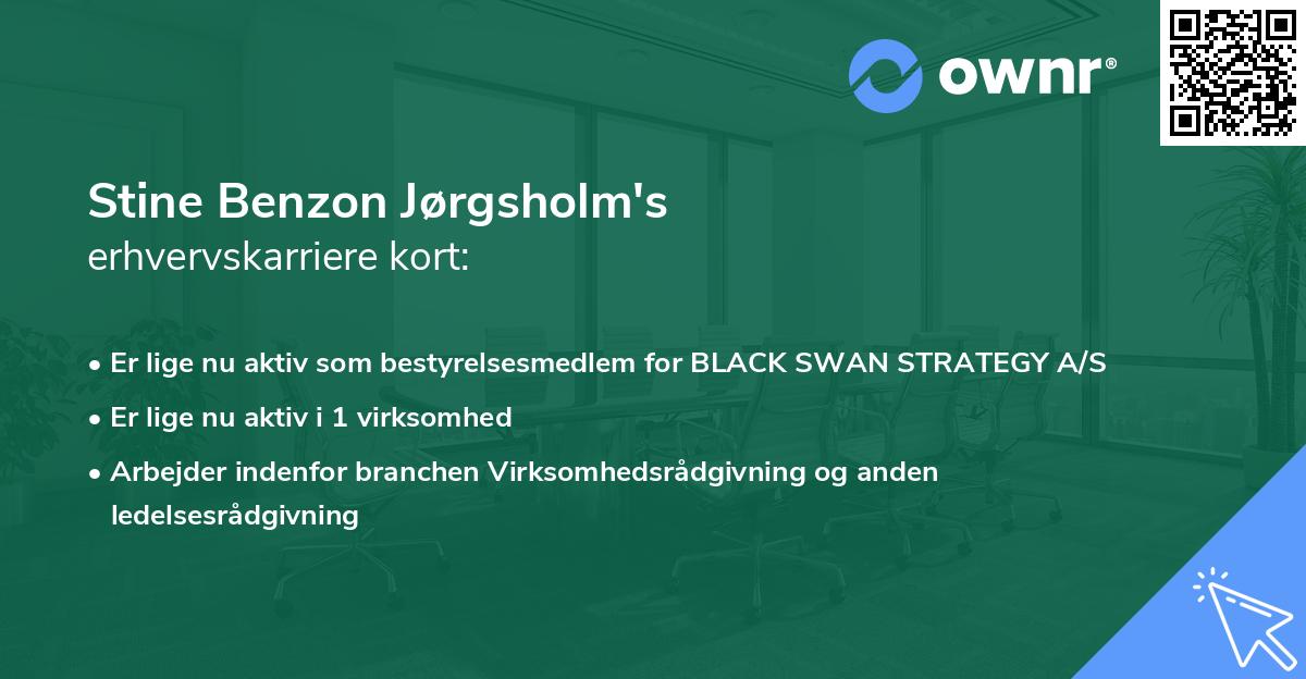 Stine Benzon Jørgsholm's erhvervskarriere kort