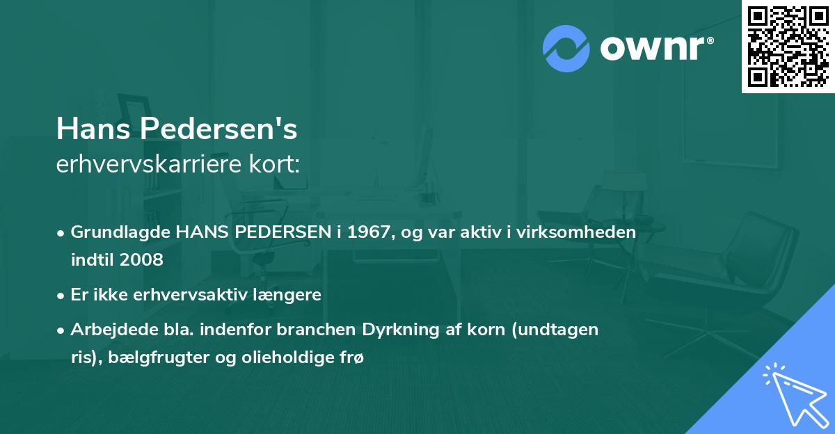 Hans Pedersen's erhvervskarriere kort