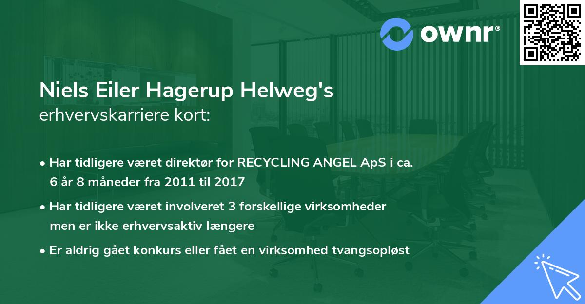 Niels Eiler Hagerup Helweg's erhvervskarriere kort