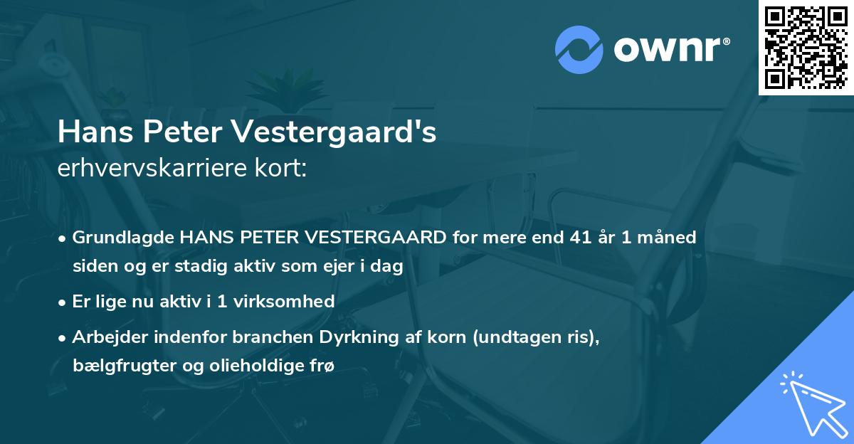 Hans Peter Vestergaard's erhvervskarriere kort