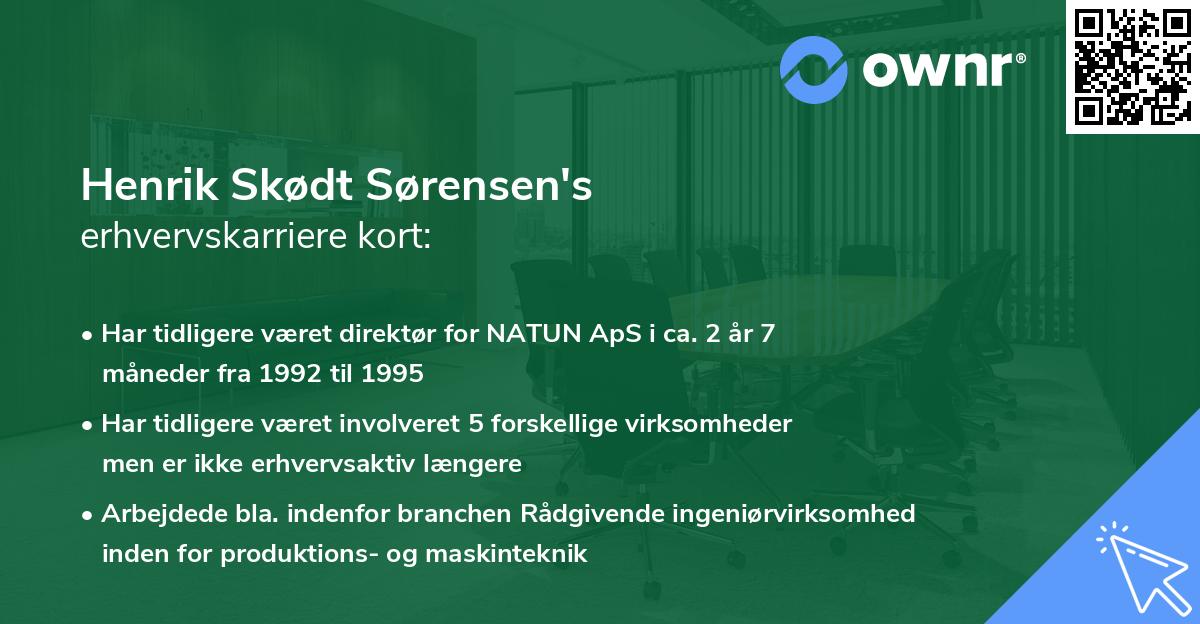 Henrik Skødt Sørensen's erhvervskarriere kort