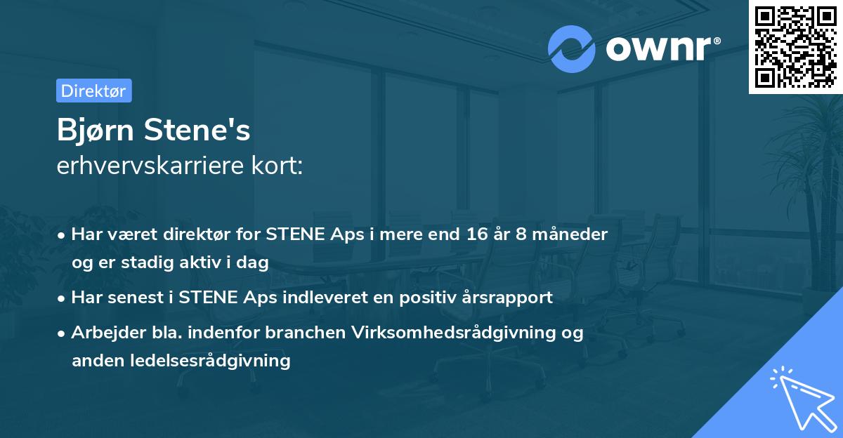 Bjørn Stene's erhvervskarriere kort