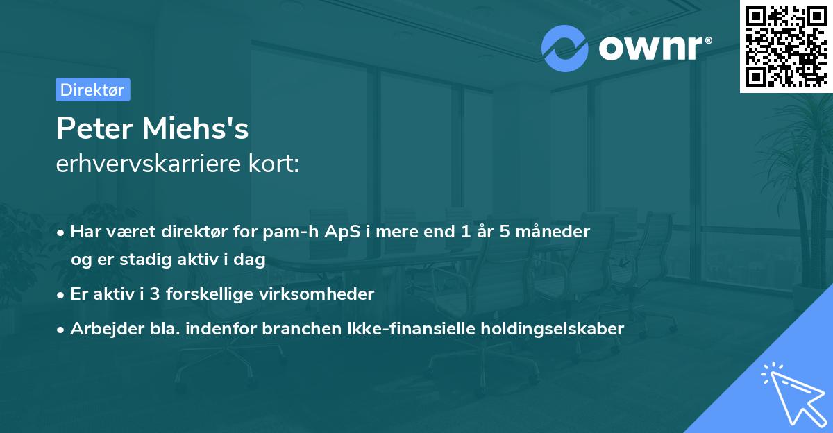 Peter Miehs's erhvervskarriere kort