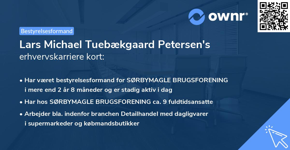 Lars Michael Tuebækgaard Petersen's erhvervskarriere kort