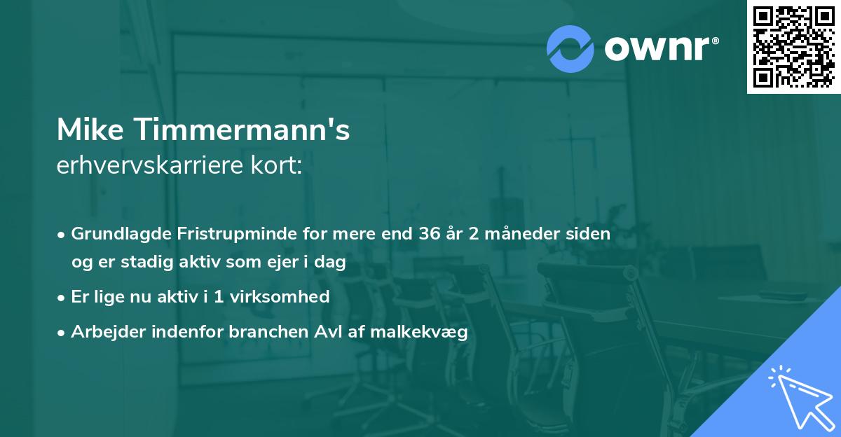 Mike Timmermann's erhvervskarriere kort