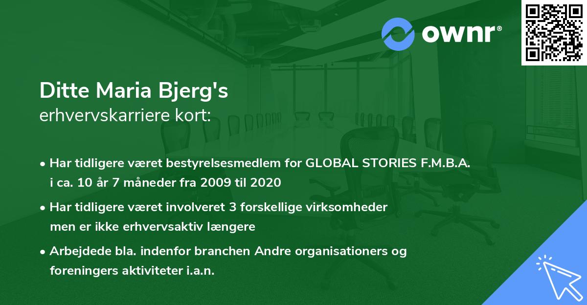 Ditte Maria Bjerg's erhvervskarriere kort
