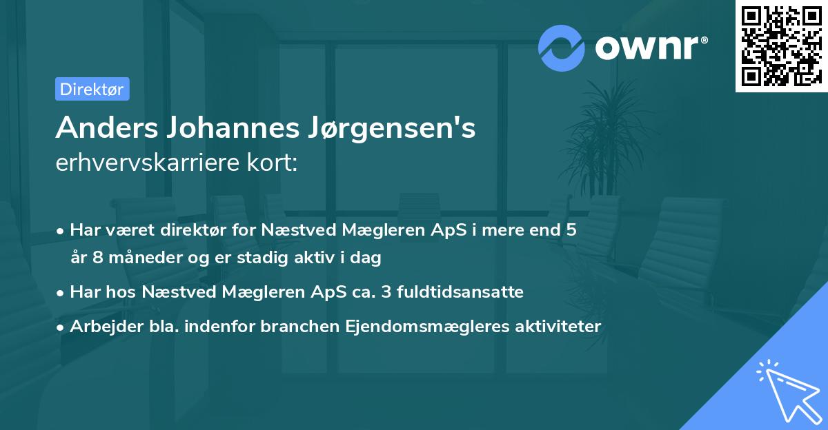 Anders Johannes Jørgensen's erhvervskarriere kort