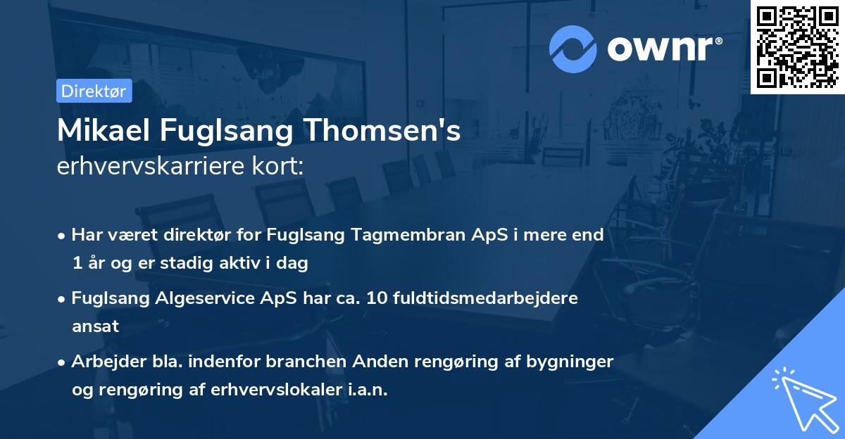 Mikael Fuglsang Thomsen's erhvervskarriere kort