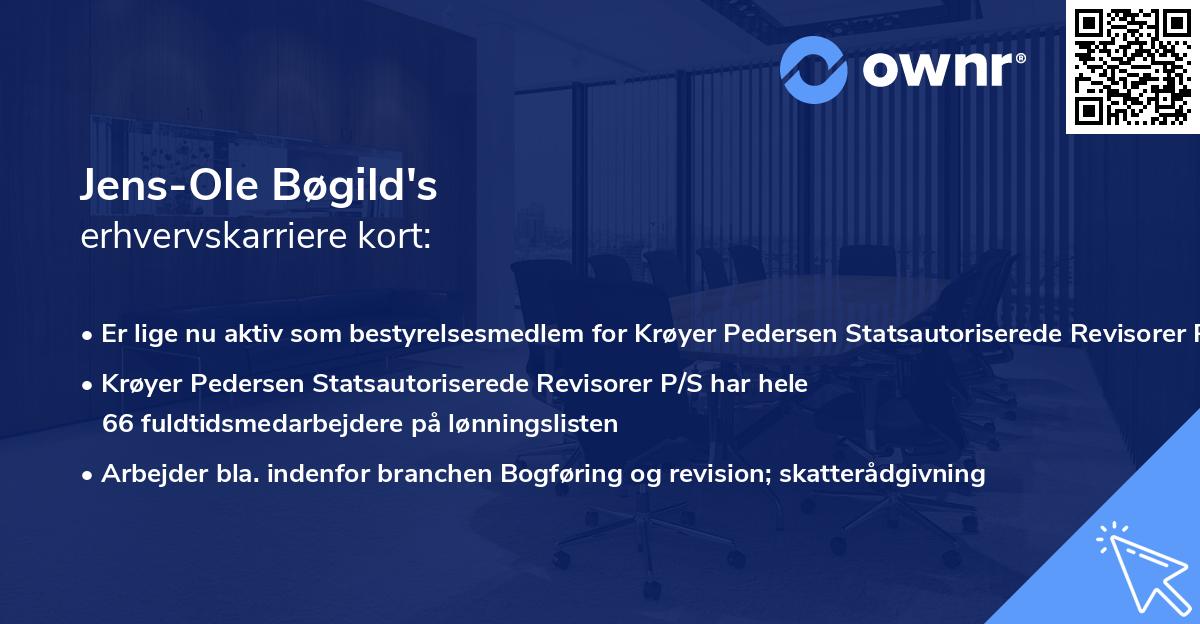 Jens-Ole Bøgild's erhvervskarriere kort