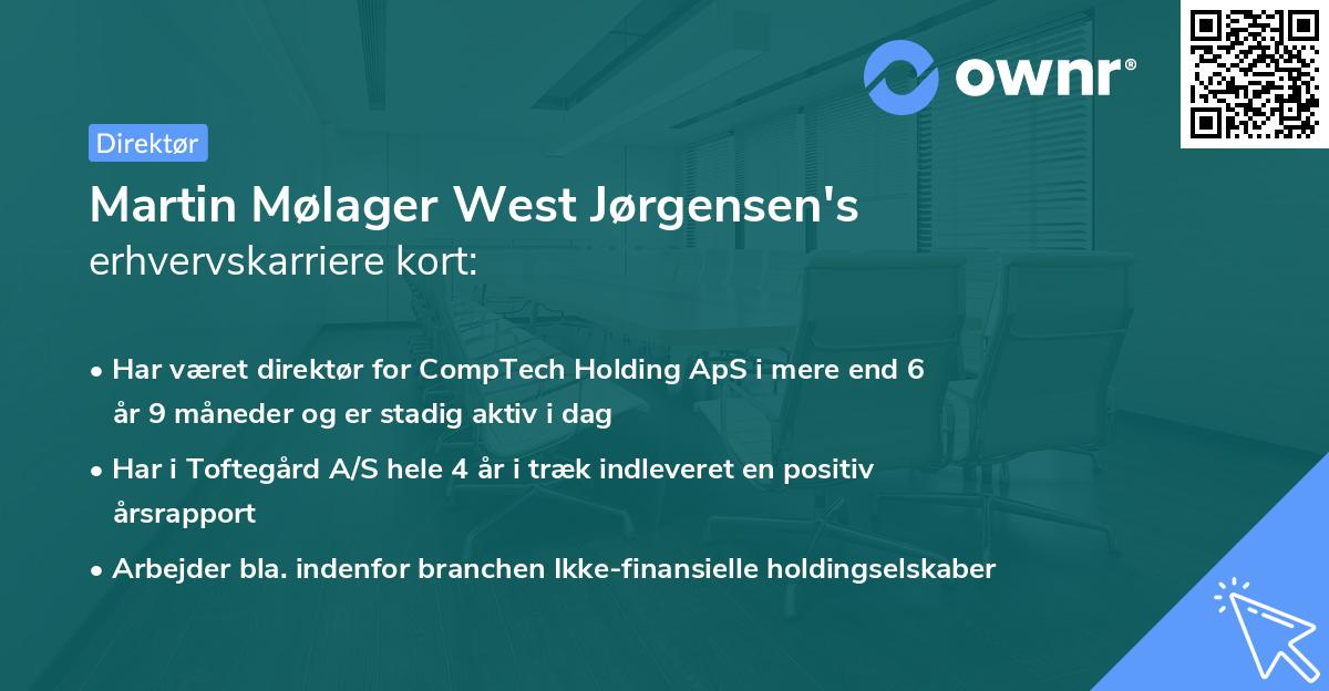 Martin Mølager West Jørgensen's erhvervskarriere kort