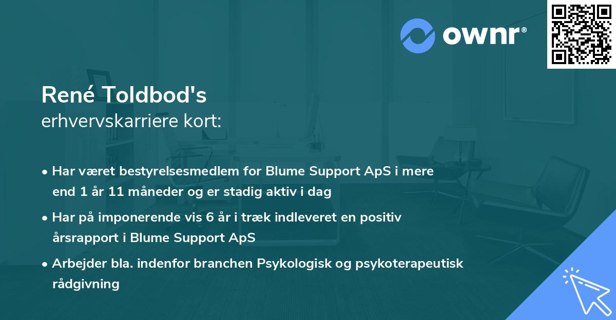 René Toldbod's erhvervskarriere kort