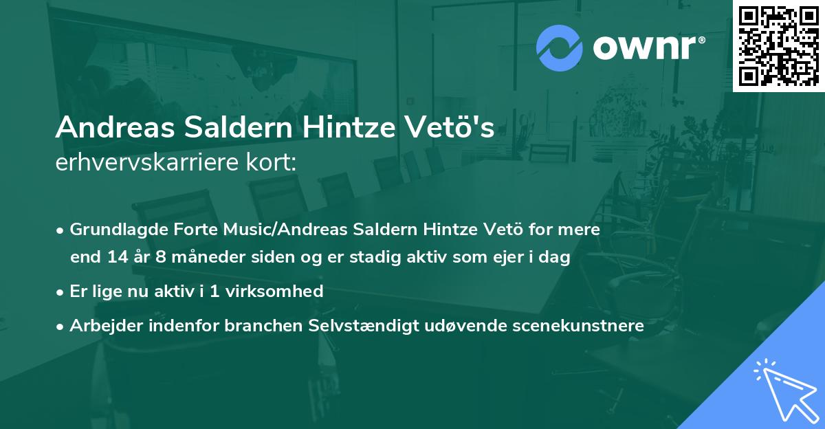 Andreas Saldern Hintze Vetö's erhvervskarriere kort