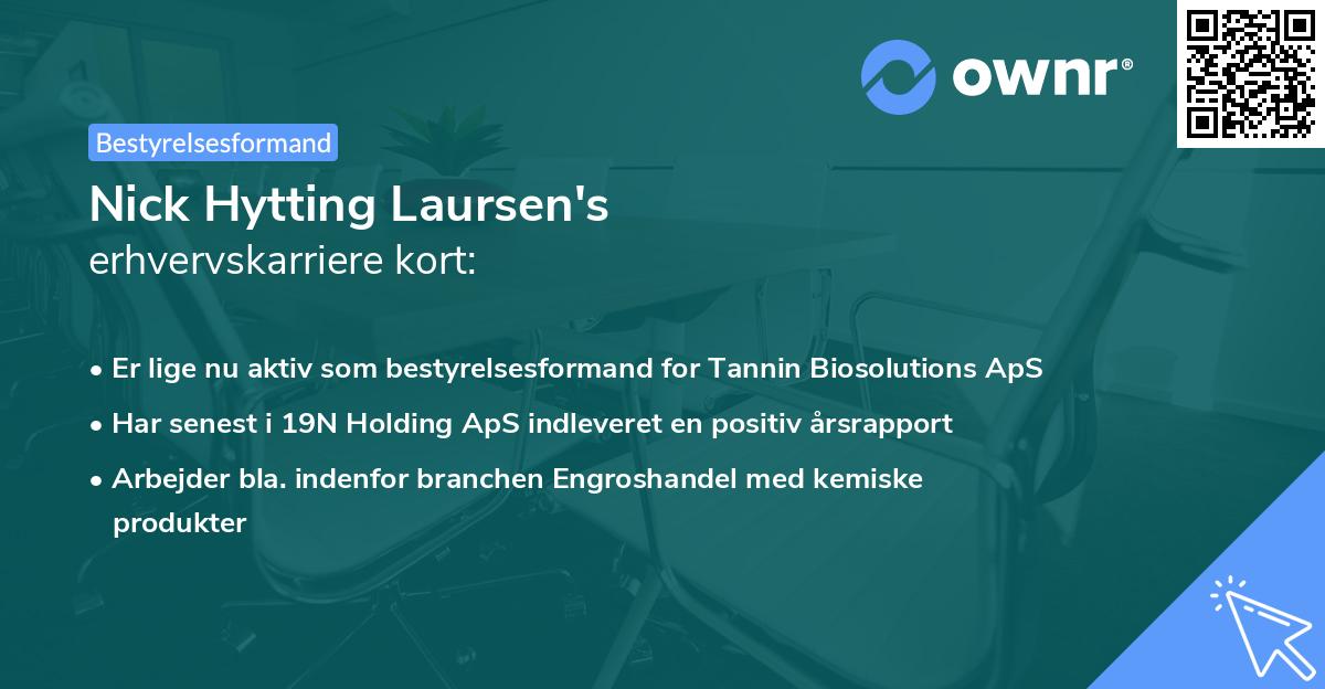 Nick Hytting Laursen's erhvervskarriere kort