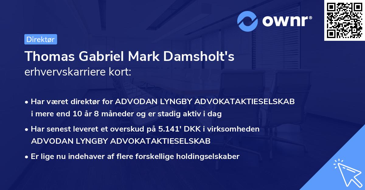 Thomas Gabriel Mark Damsholt's erhvervskarriere kort