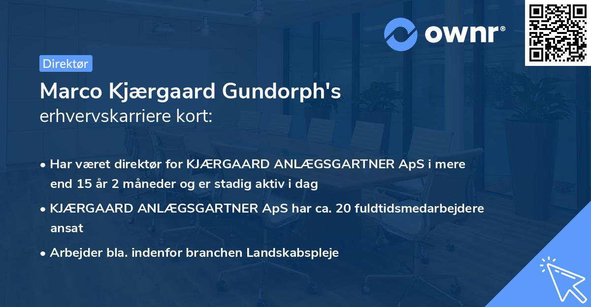 Marco Kjærgaard Gundorph's erhvervskarriere kort
