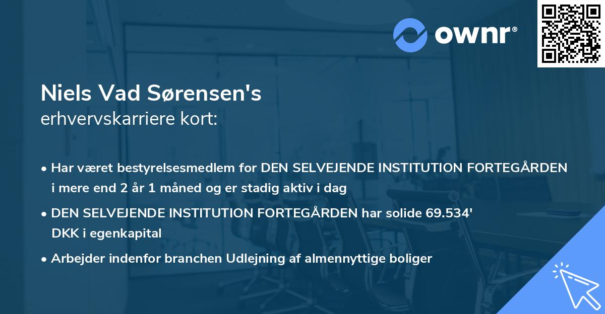 Niels Vad Sørensen's erhvervskarriere kort