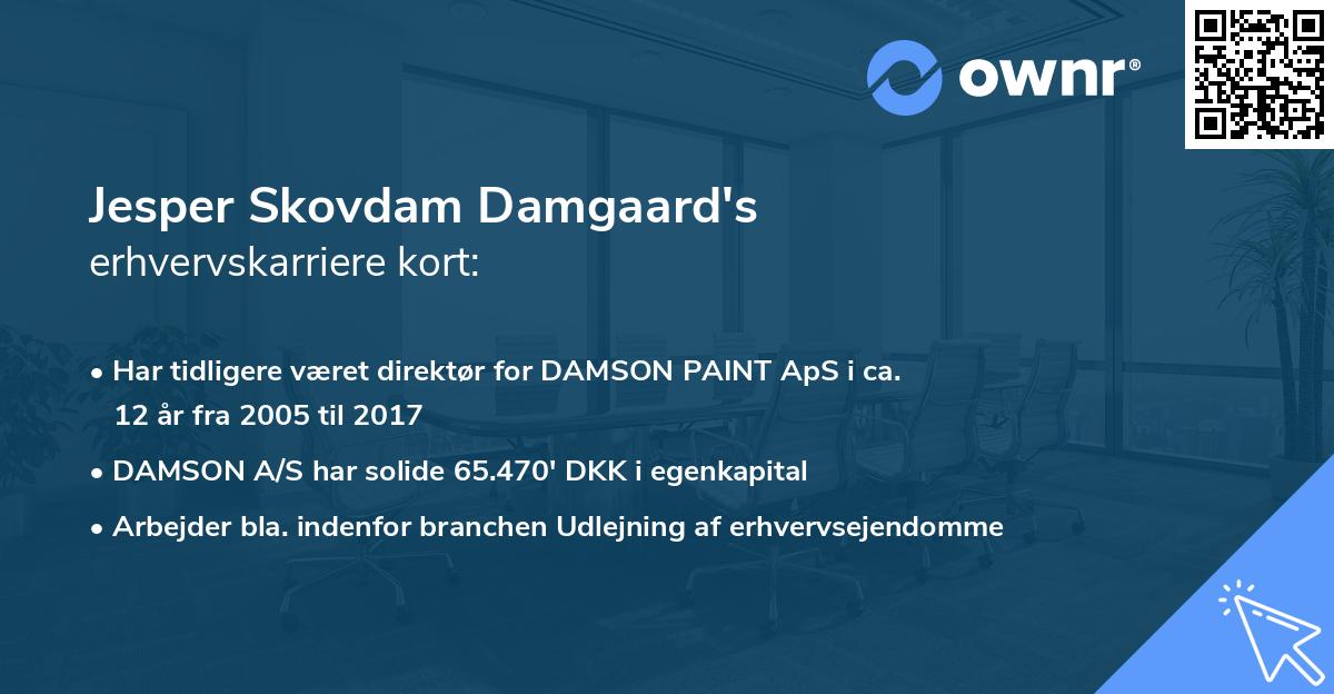 Jesper Skovdam Damgaard's erhvervskarriere kort