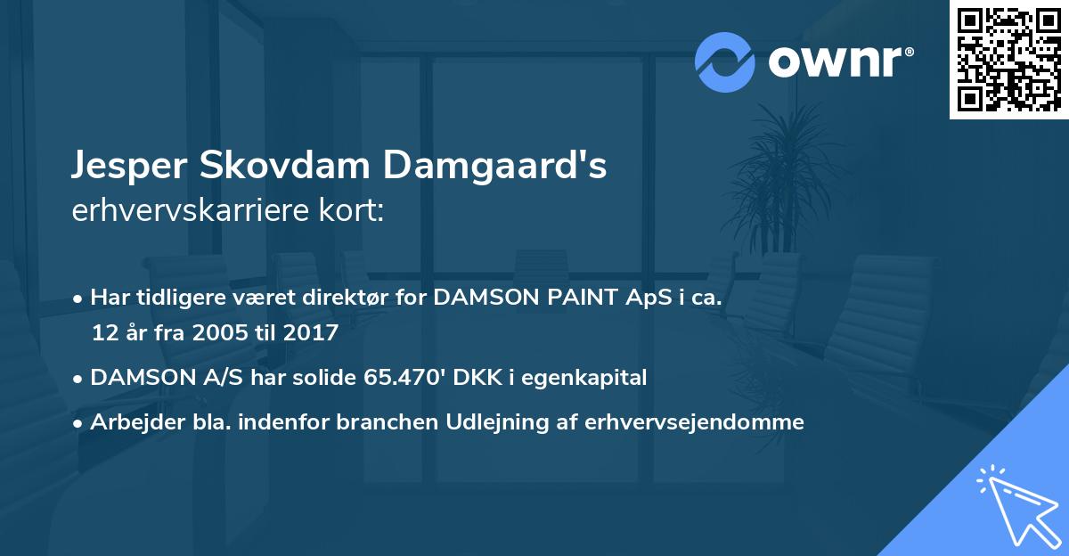 Jesper Skovdam Damgaard's erhvervskarriere kort