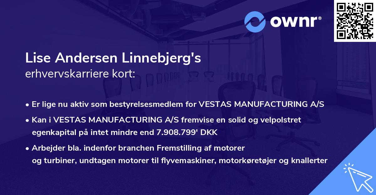Lise Andersen Linnebjerg's erhvervskarriere kort