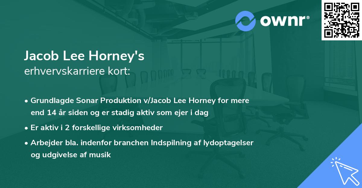 Jacob Lee Horney's erhvervskarriere kort