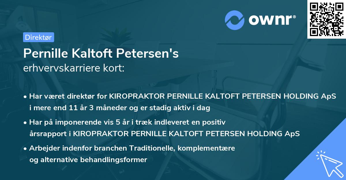 Pernille Kaltoft Petersen's erhvervskarriere kort