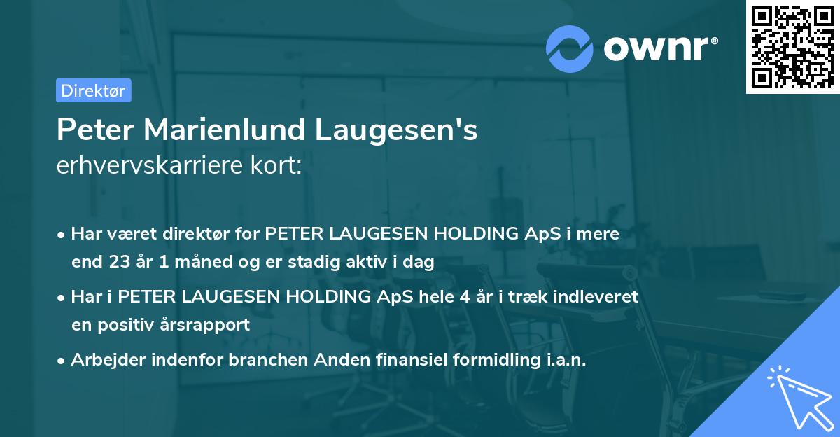 Peter Marienlund Laugesen's erhvervskarriere kort