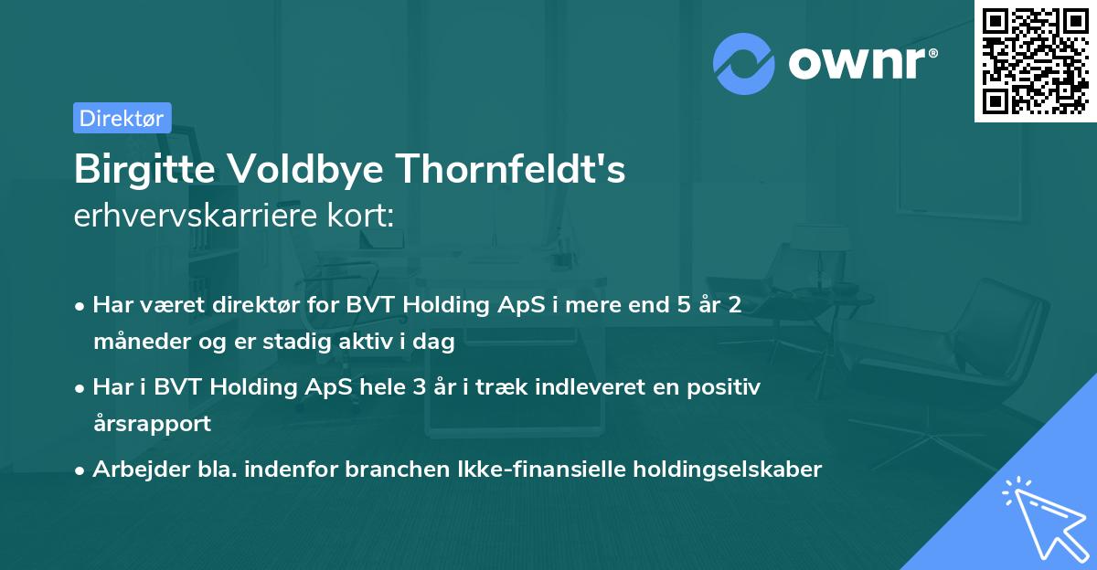 Birgitte Voldbye Thornfeldt's erhvervskarriere kort