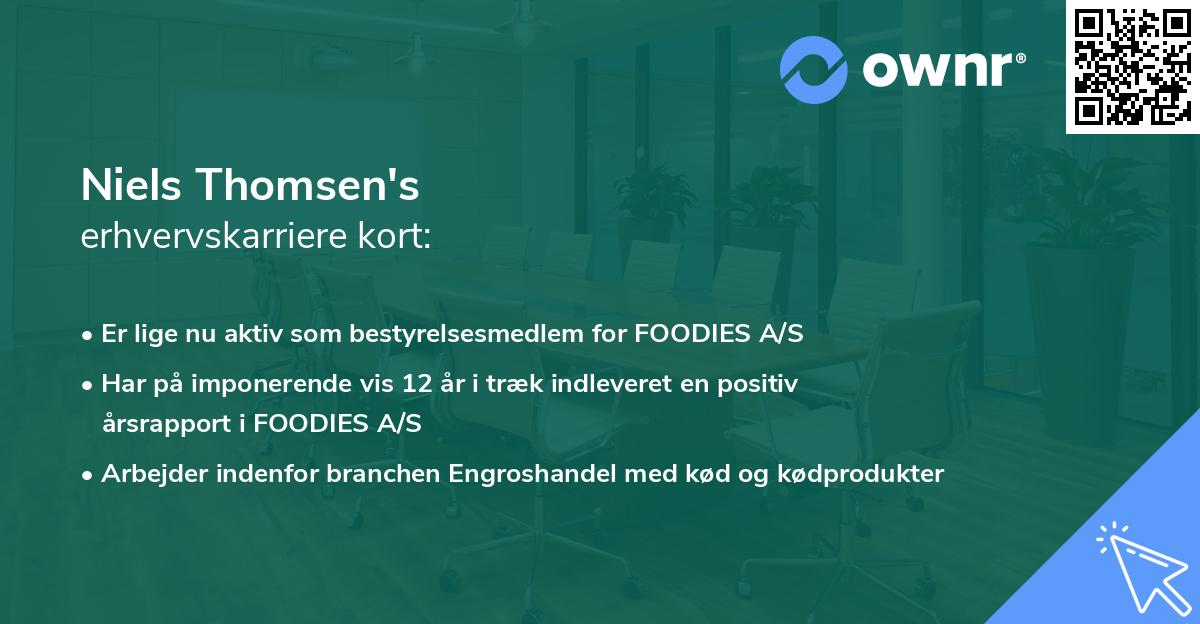 Niels Thomsen's erhvervskarriere kort