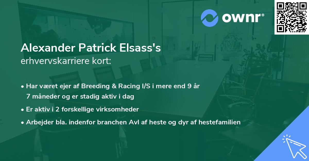 Alexander Patrick Elsass's erhvervskarriere kort