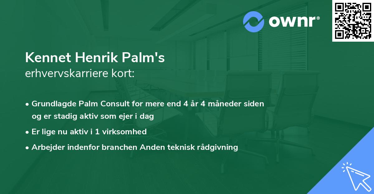 Kennet Henrik Palm's erhvervskarriere kort