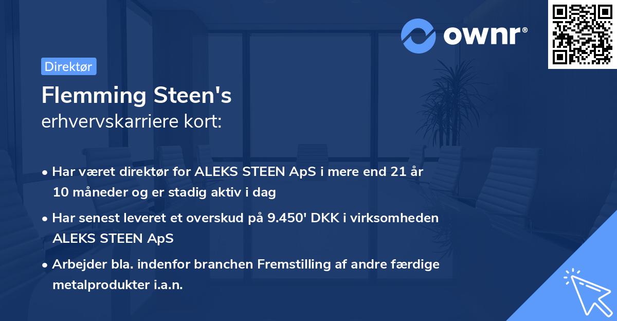 Flemming Steen's erhvervskarriere kort