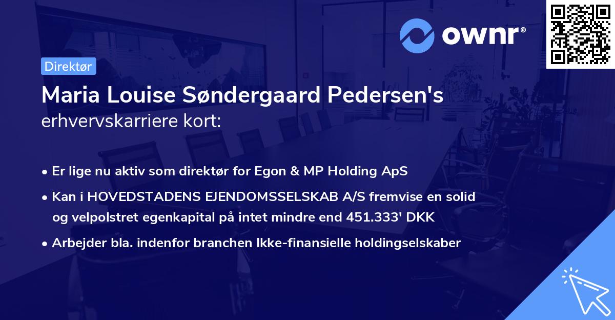 Maria Louise Søndergaard Pedersen's erhvervskarriere kort